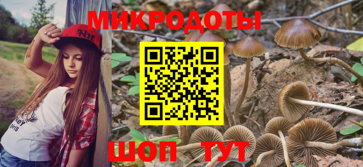 Камышлов  Галлюциногенные грибы мицелий  Псилоцибиновые грибы Psilocybine cubensis  Вход с VPN 